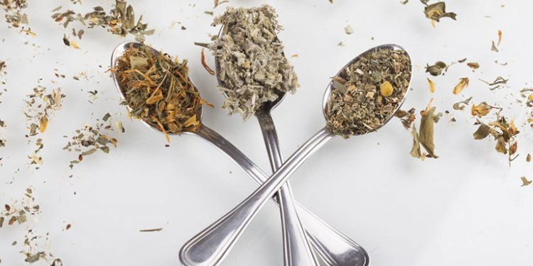 Guide: The 23 Best Teas for Weight Loss